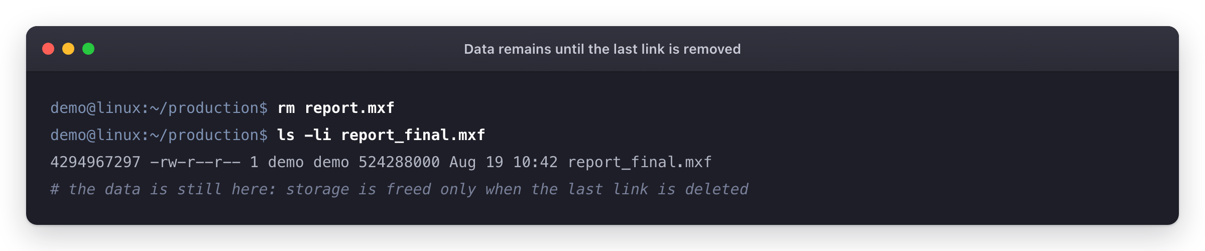 Terminal showing one name removed with rm while the remaining linked name still lists the same file